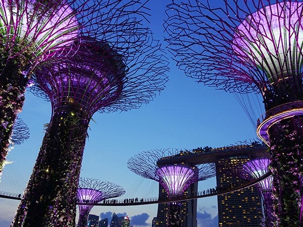 新加坡、馬來(lái)西亞雙飛六日游