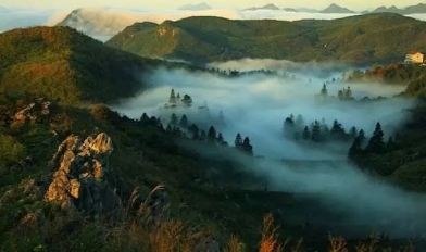 益陽安化?天下茶道、云臺(tái)山、茶香花海2日游