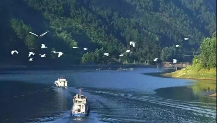 益陽安化?天下茶道、云臺(tái)山、茶香花海2日游