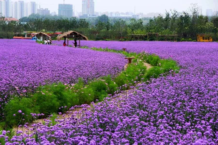 長沙?華誼兄弟電影小鎮(zhèn)、李自健美術(shù)館一日游