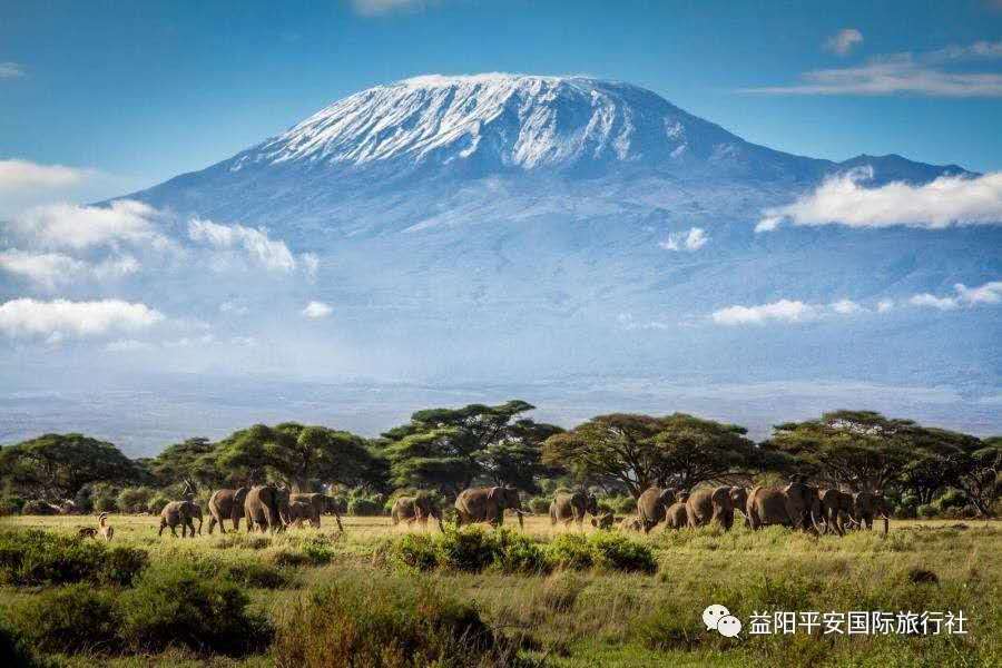發(fā)現(xiàn)非洲體驗之旅肯尼亞10游 發(fā)現(xiàn)非洲體驗之旅肯尼亞10游