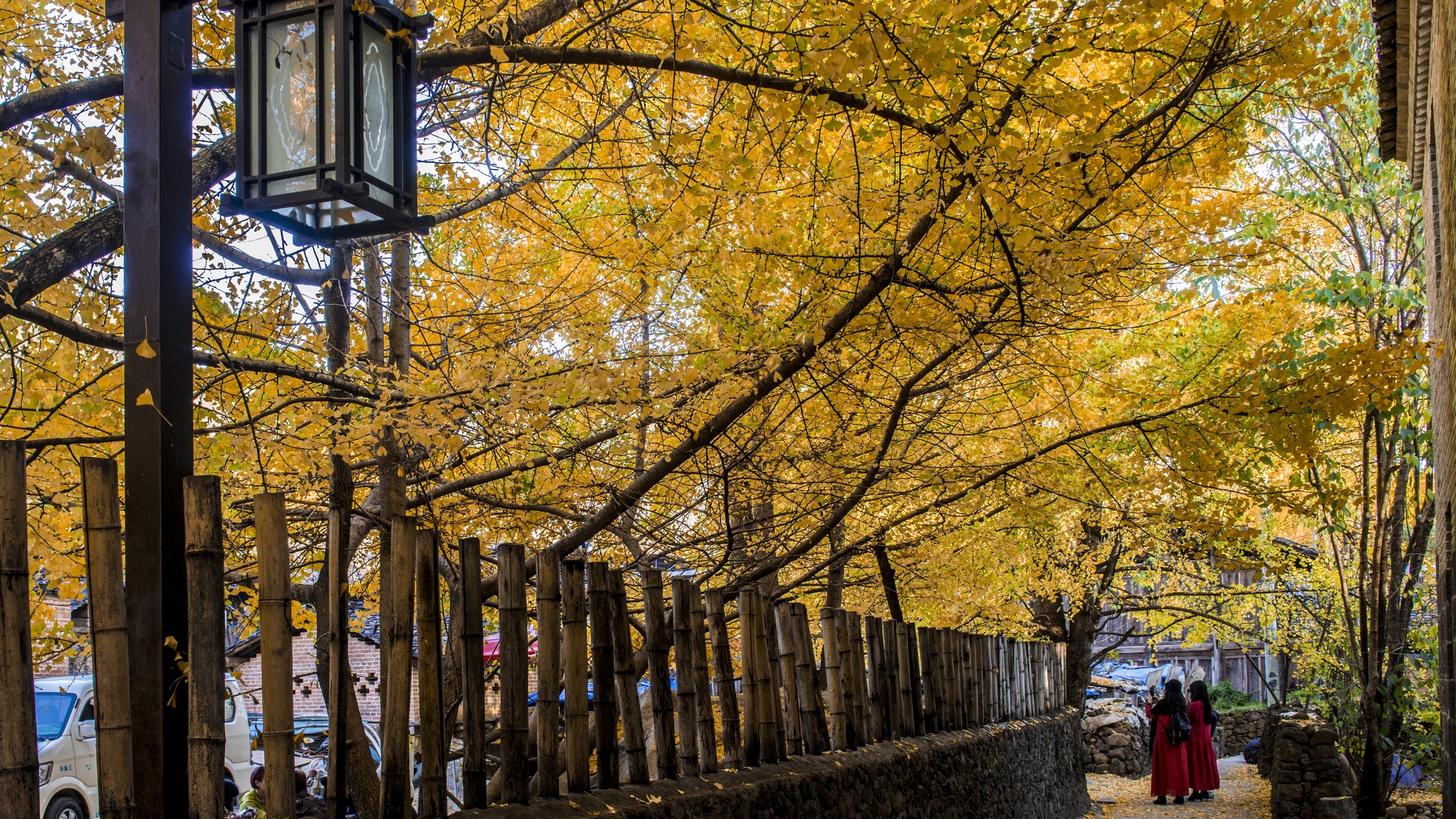 長沙直飛騰沖、瑞麗、芒市雙飛六日游
