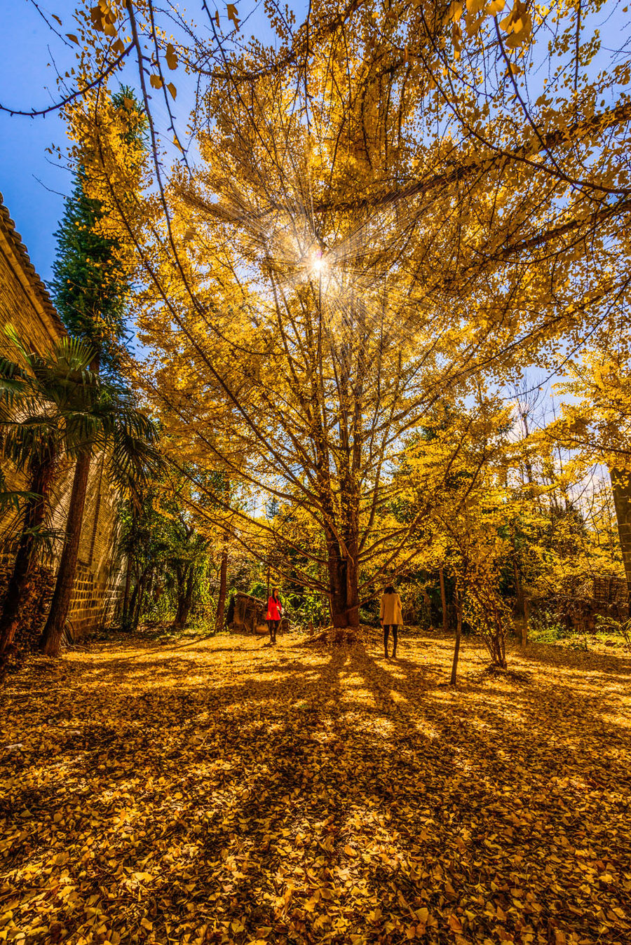 長沙直飛騰沖、瑞麗、芒市雙飛六日游