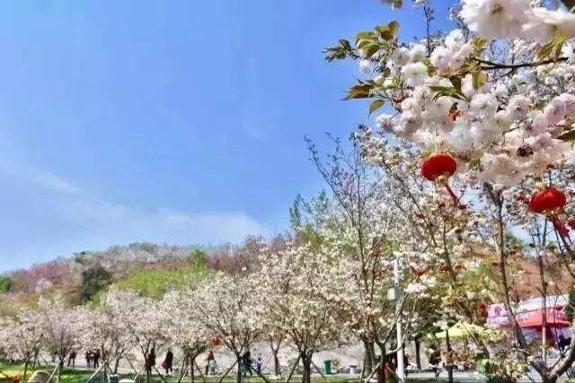 長沙潯龍河櫻花谷、田漢文化園一日游