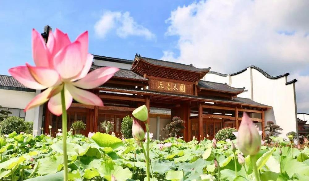 清溪村、天意木國景區(qū)、明清古巷、市博物館、胡林翼故居二日游